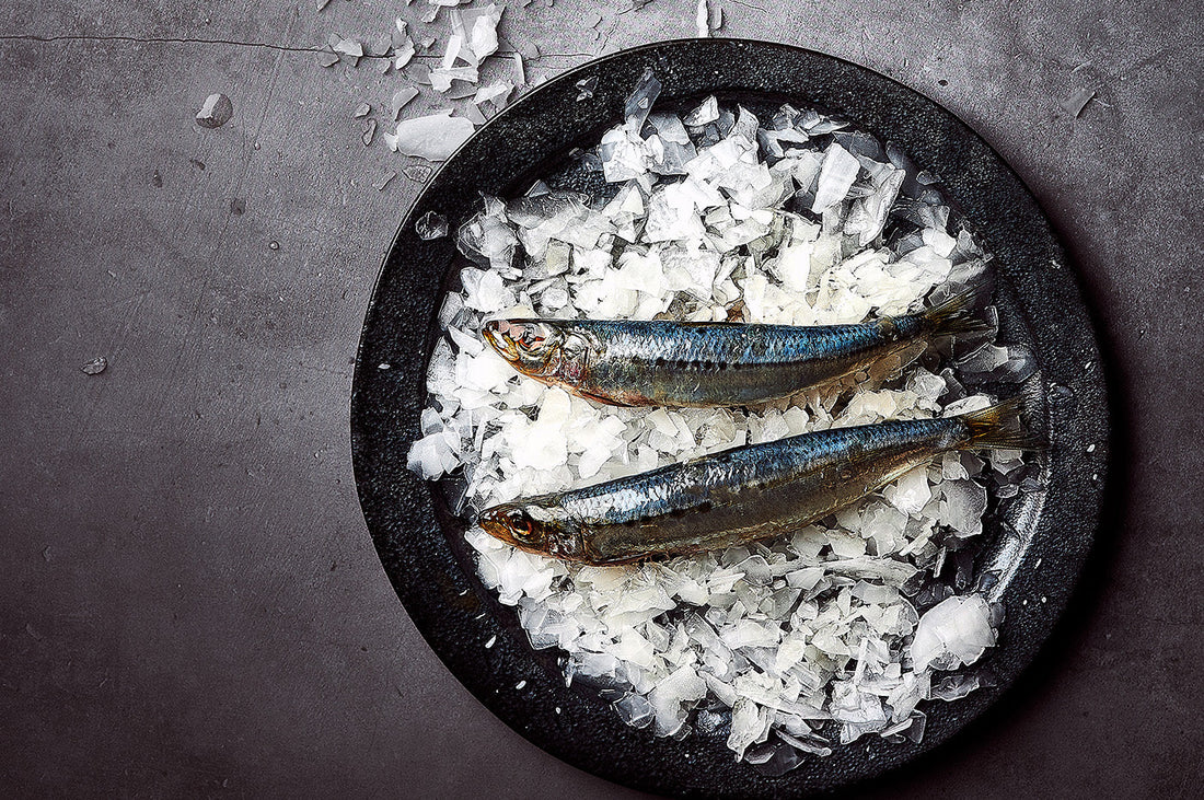 Two fresh whole fish on ice in a black dish.