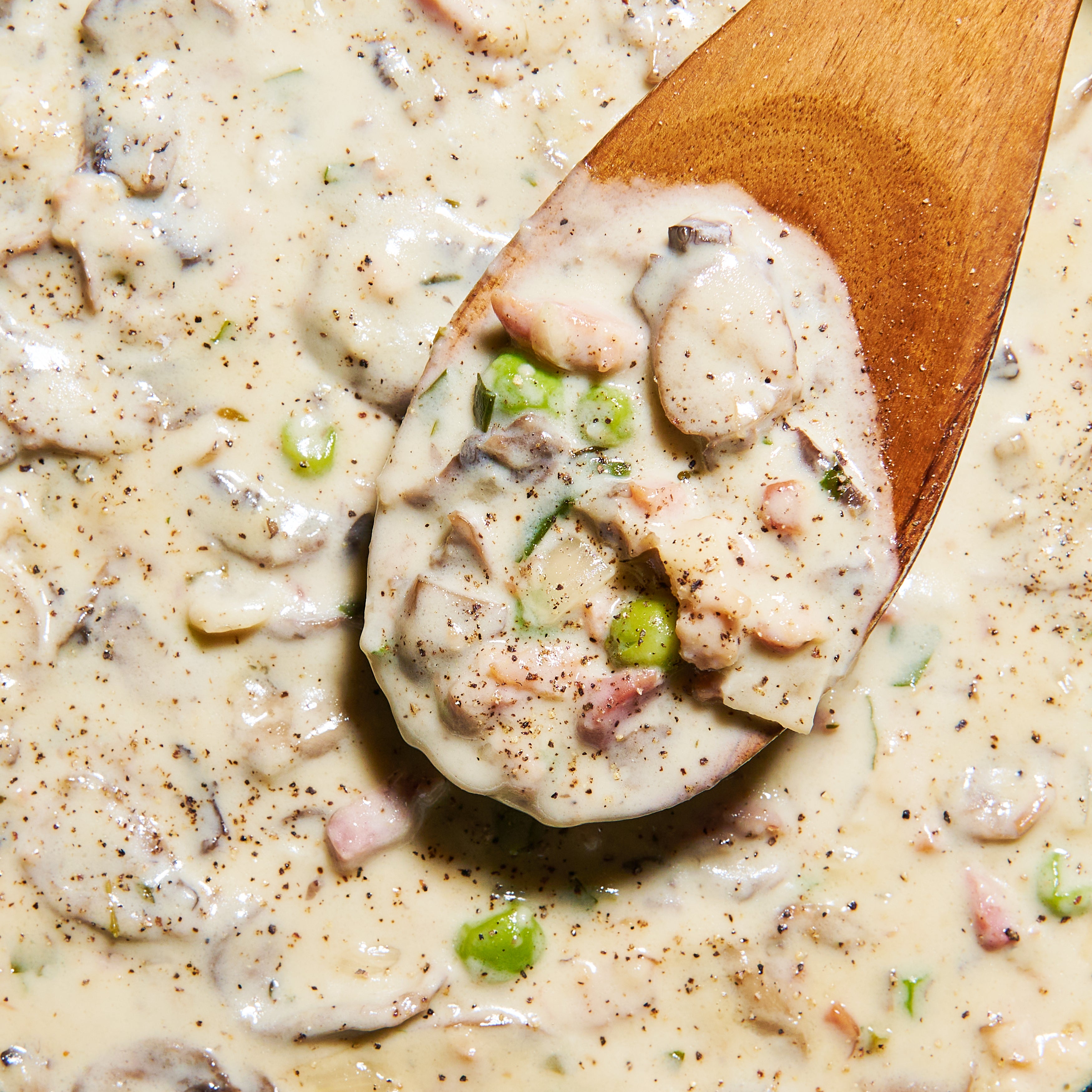 Close up of creamy Boscaiola pasta sauce with bacon, mushrooms and green peas on a wooden spoon.