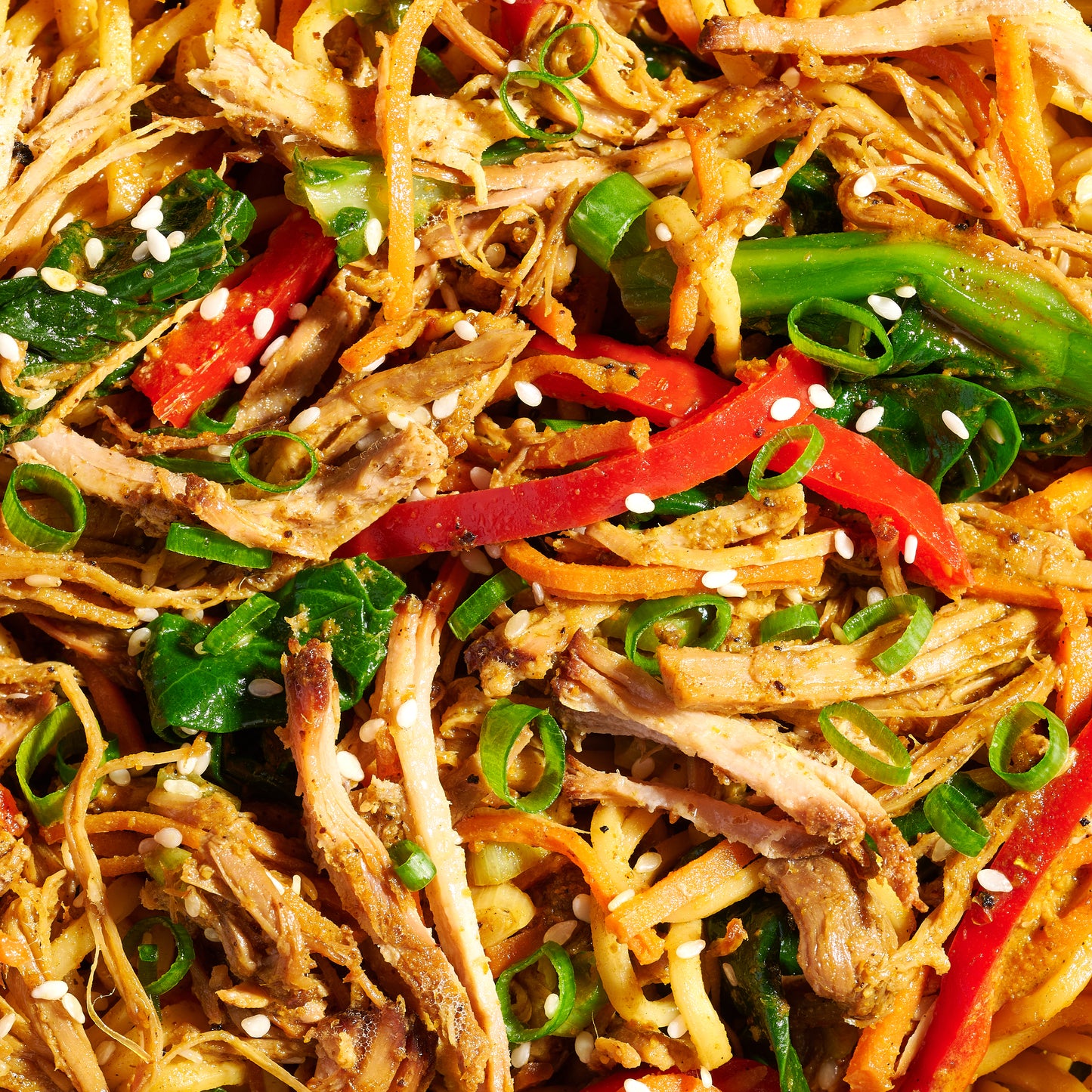 Close up of Singapore Egg Noodles with Pork