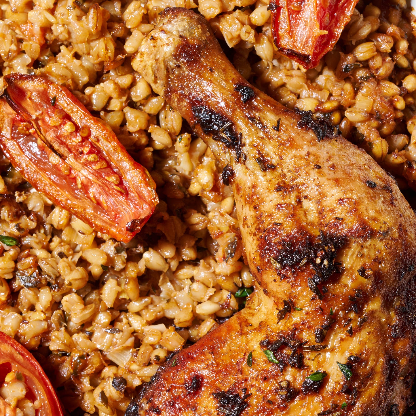Close-up of golden roast chicken leg served on pearl barley with roast tomato and fresh herbs.
