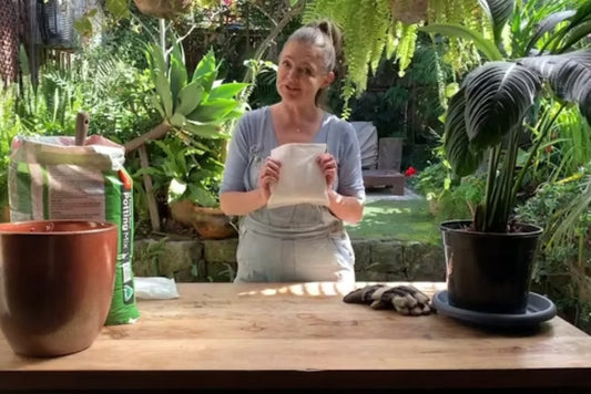Katherine showing how to reuse biodegradable gel ice packs for gardening.