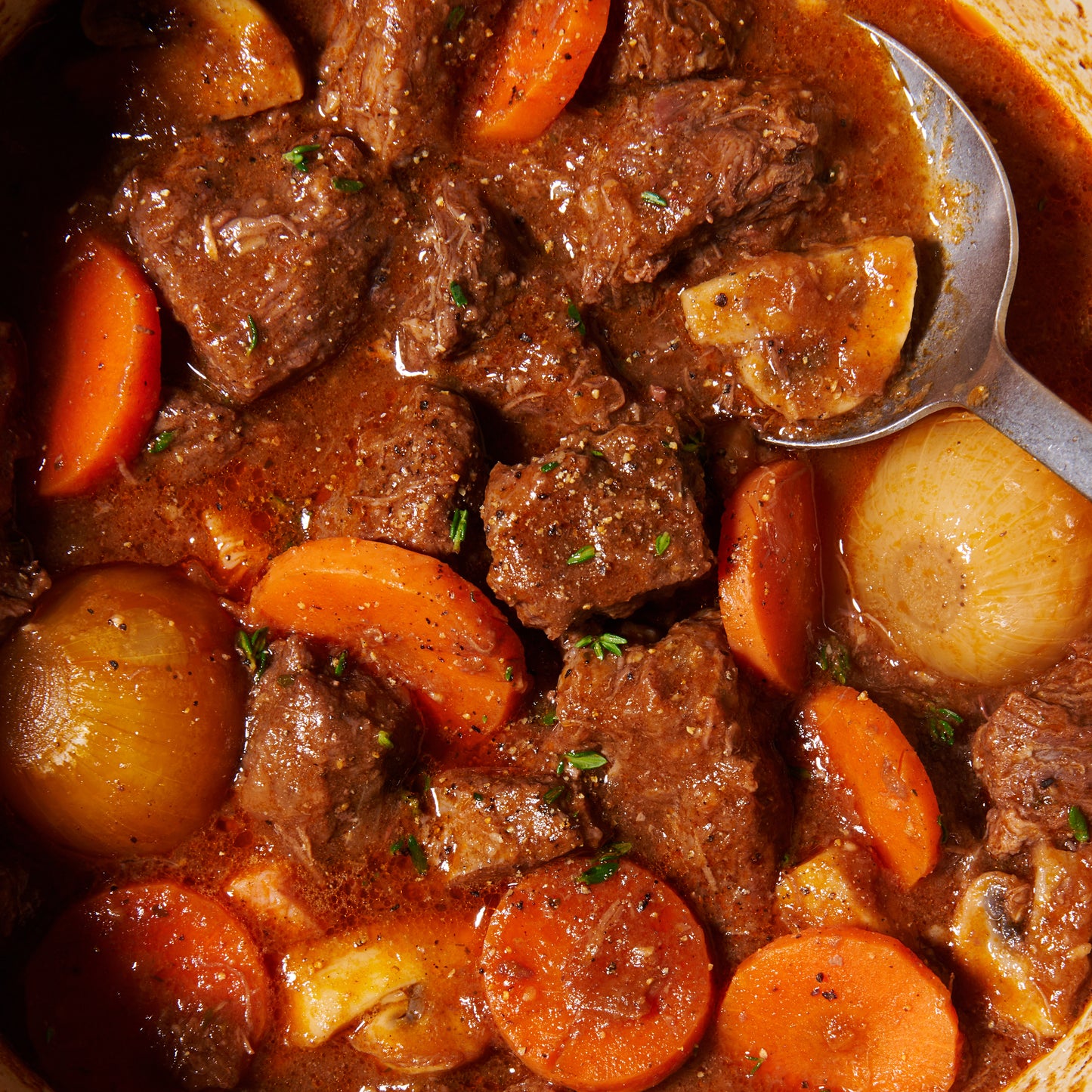 Boeuf Bourguignon close up