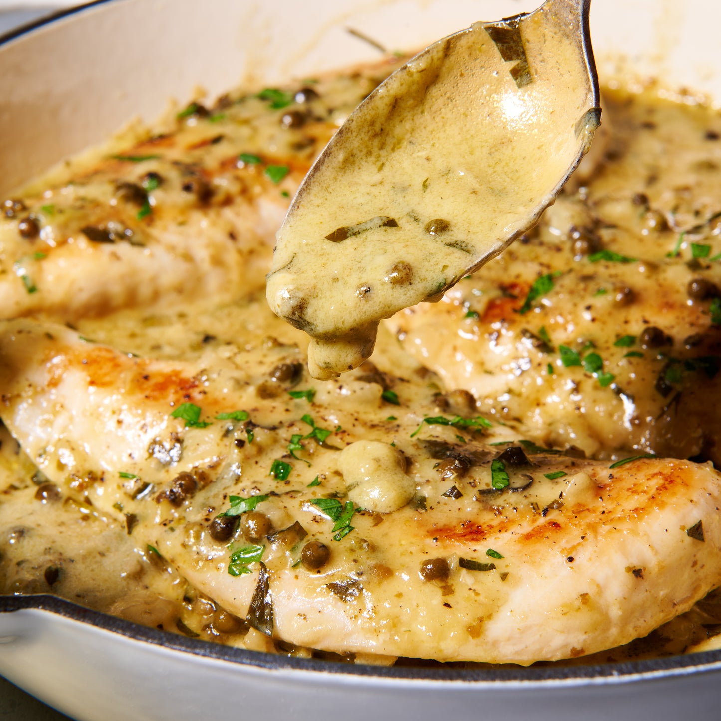 Close-up of a spoon lifting creamy green peppercorn sauce over pan-fried chicken scallopine