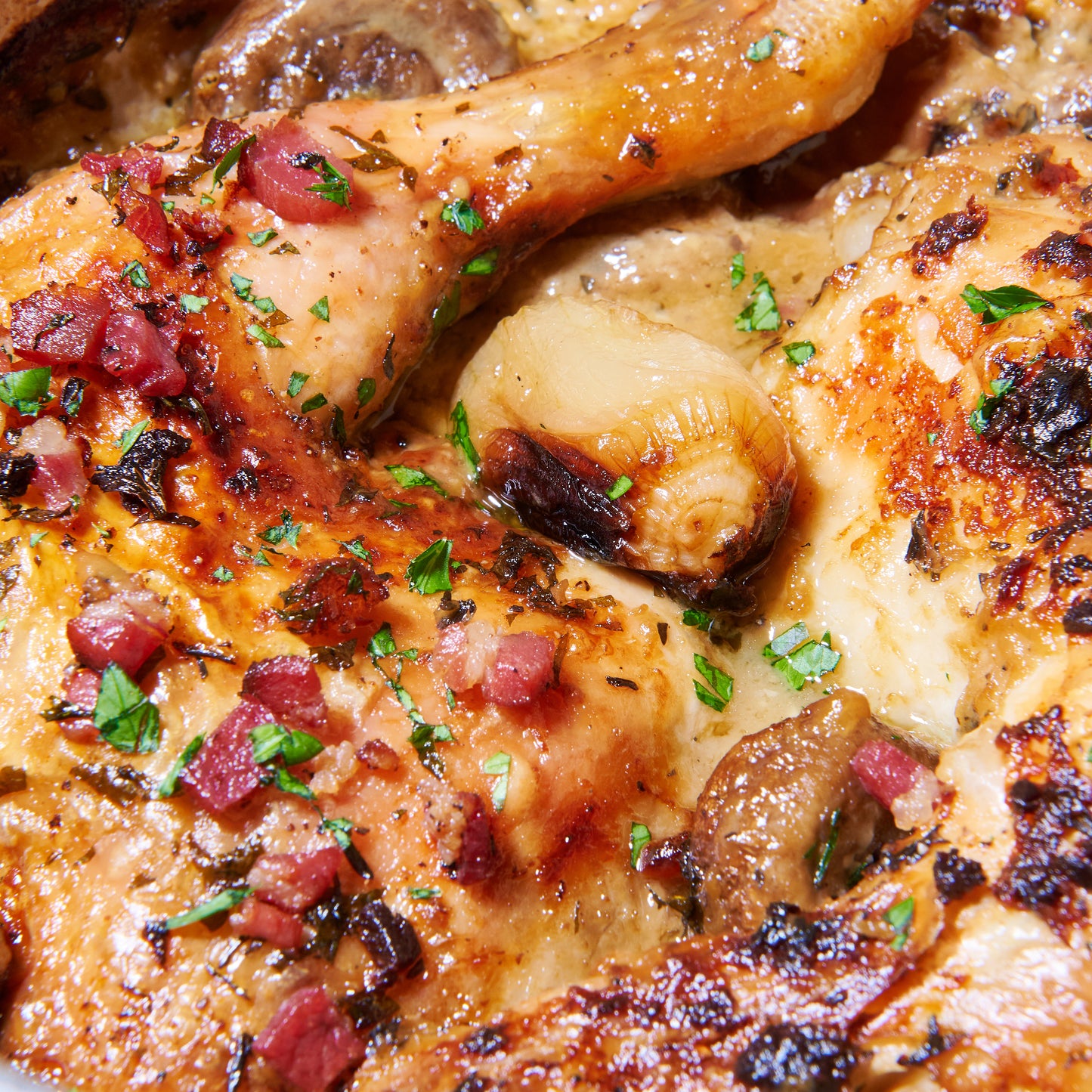 Coq a vin blanc close up