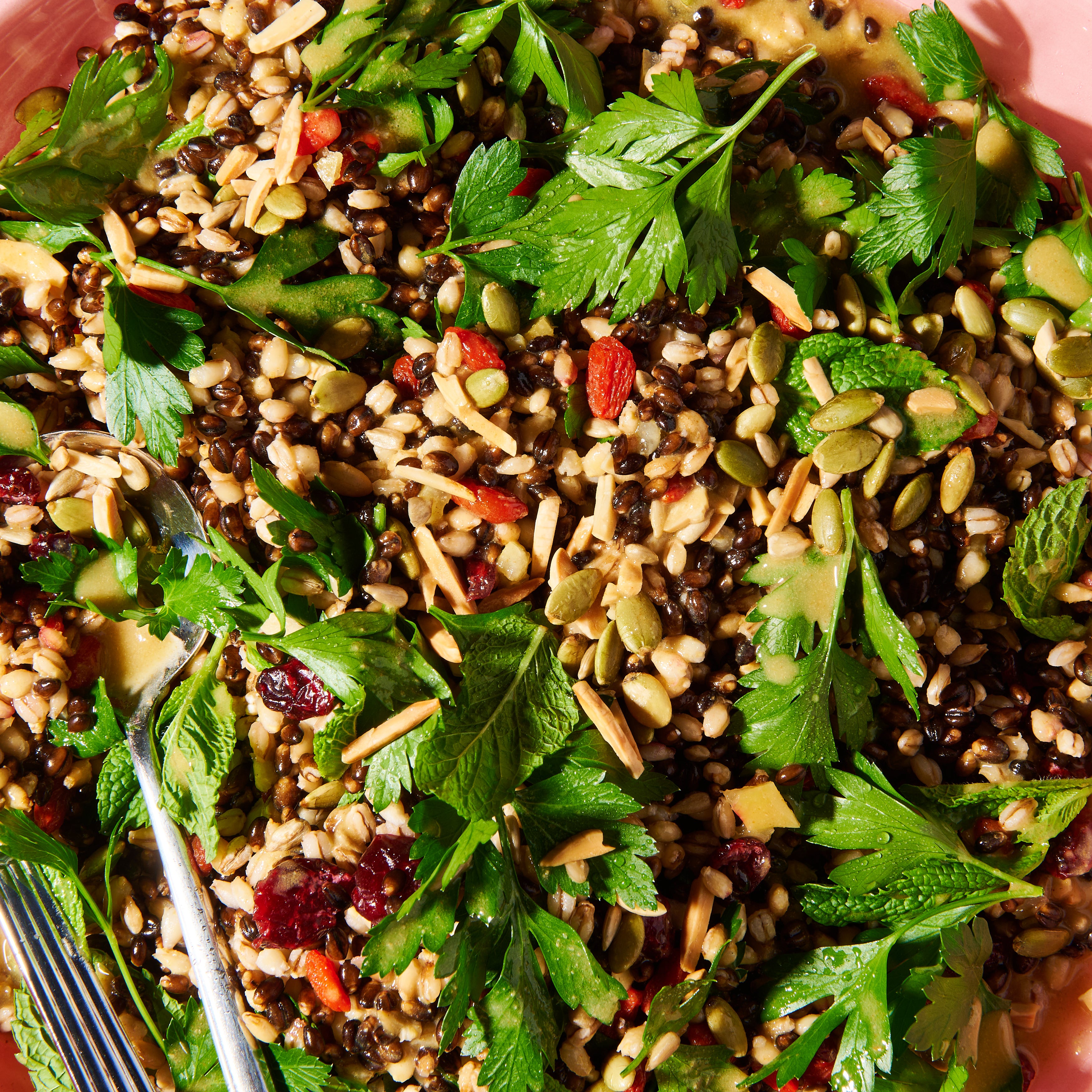 Grain salad with cranberries, toasted almonds and lemon mustard vinaigrette close up