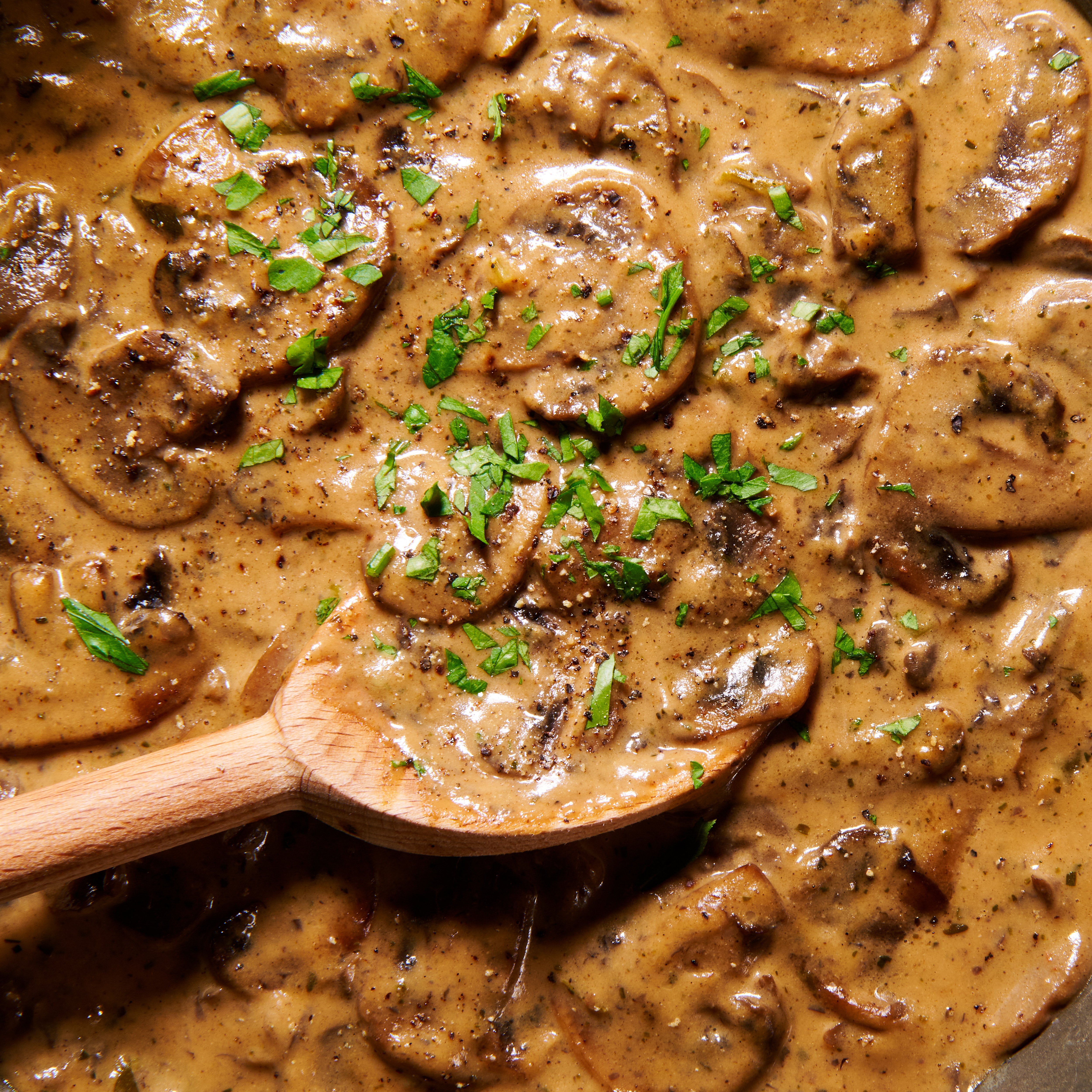 Mushroom and tarragon sauce for pasta close up