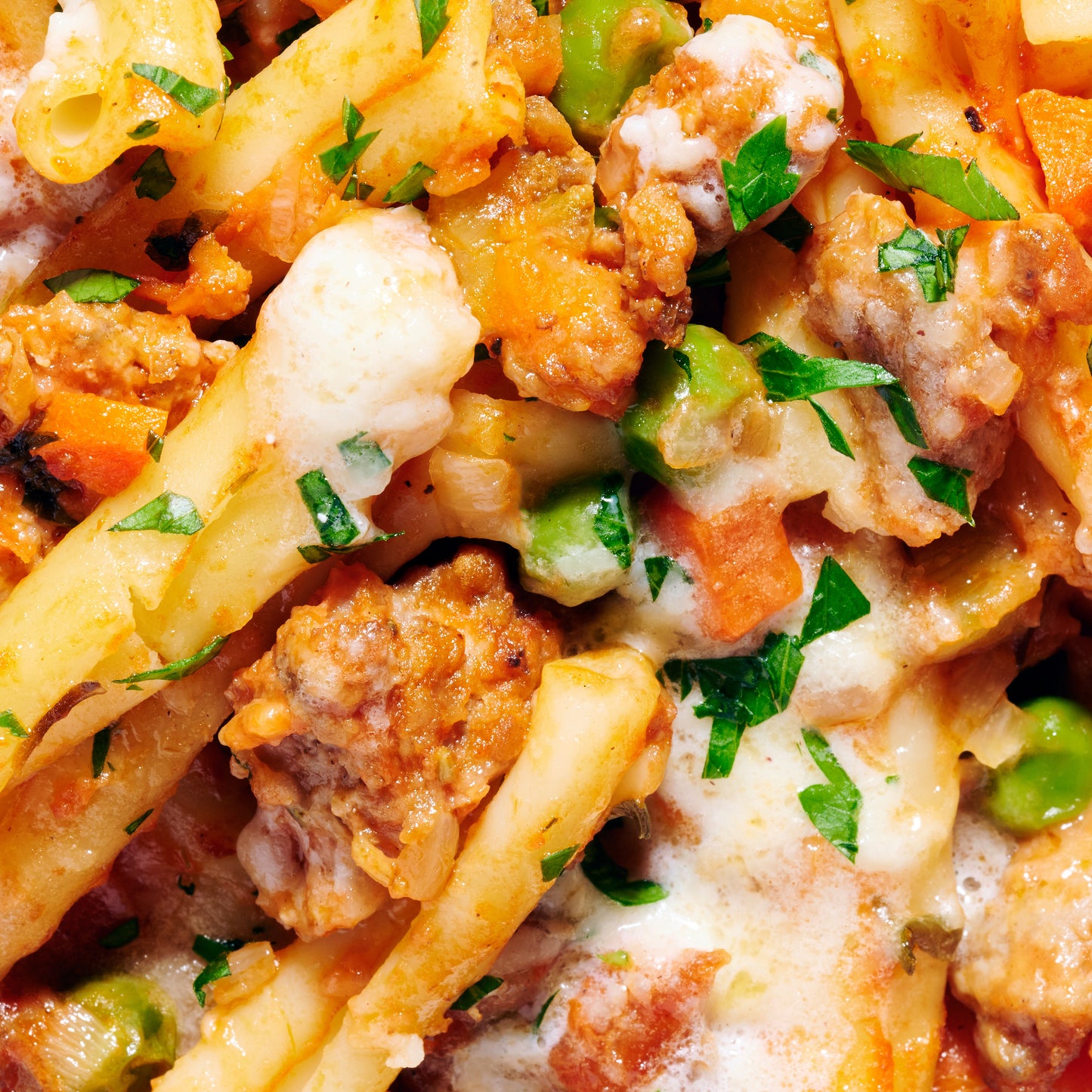 Pasta with Italian sausage, pancetta and parmesan cream close up