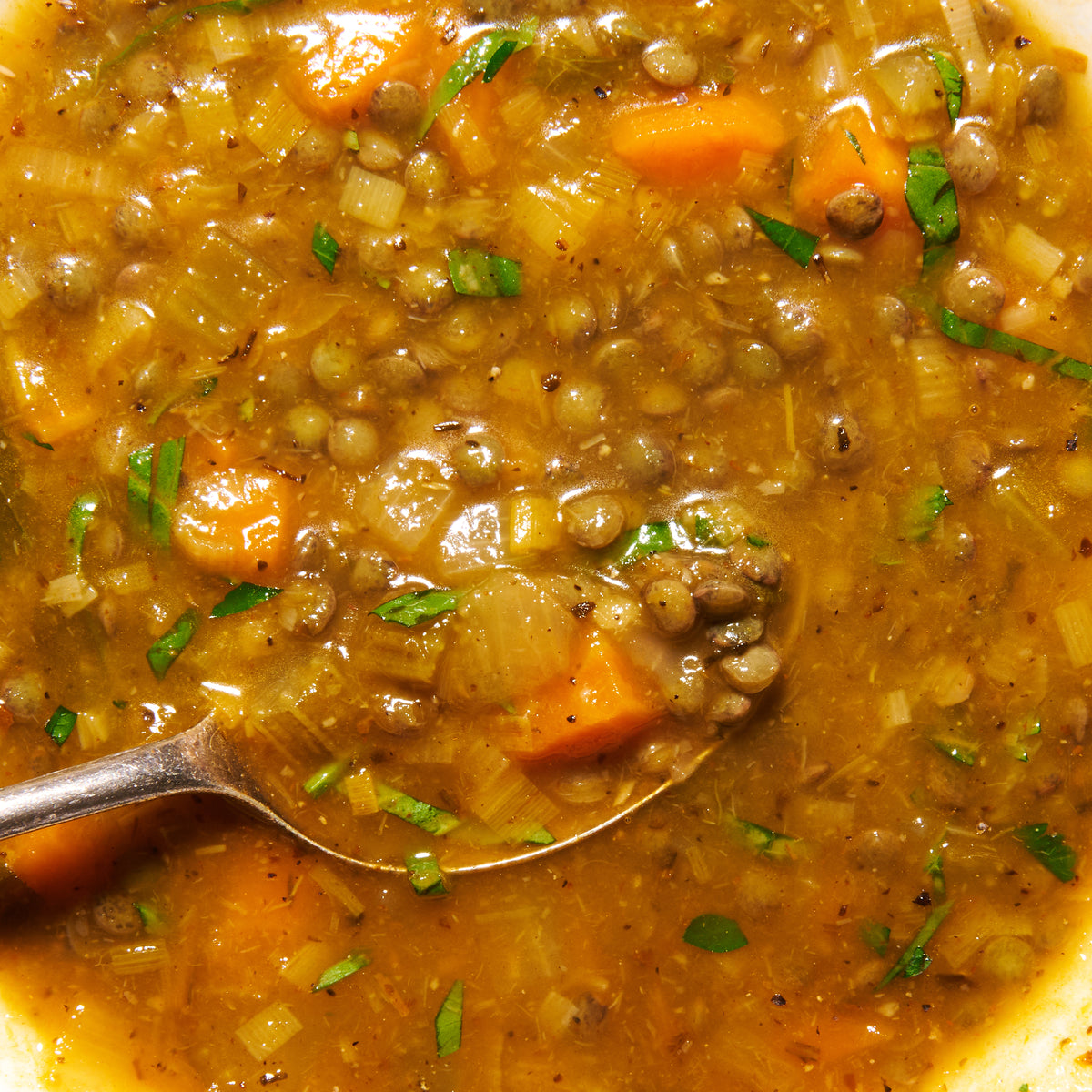 Close-up of Provençale soup, showing Puy lentils, diced carrot, celery and parsley in a rich tomato broth