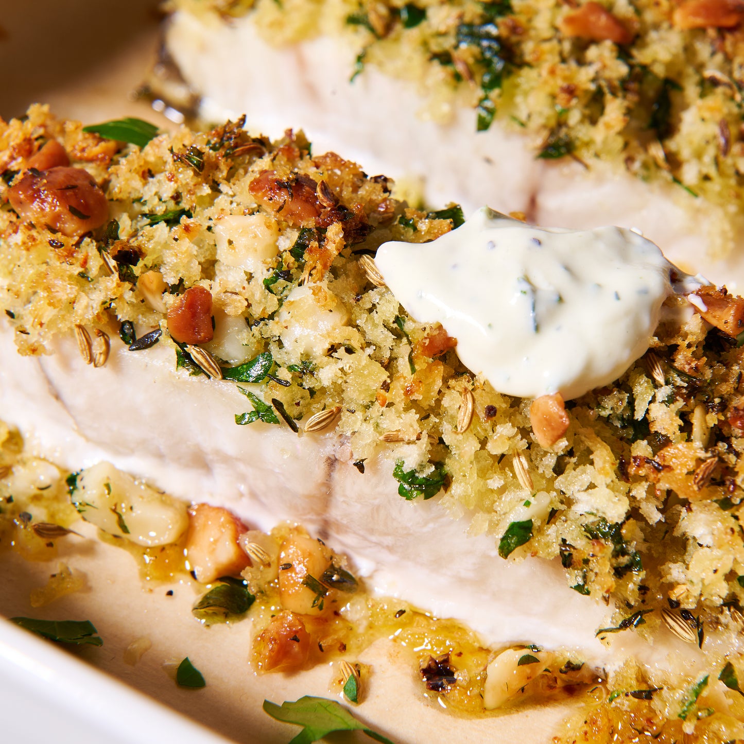 Macadamia crusted barramundi fillets with horseradish-dill cream