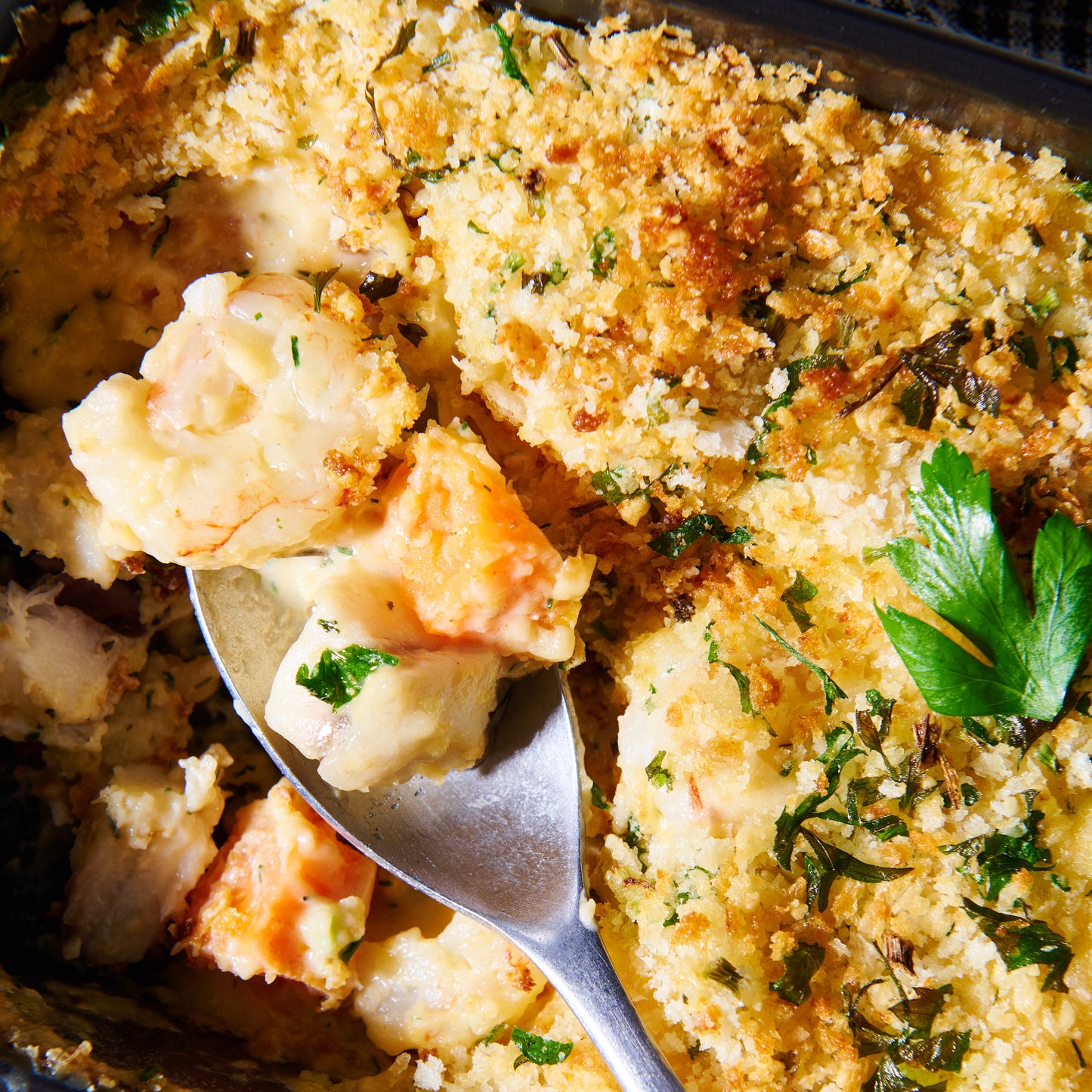 Prawn, leek and barramundi gratin